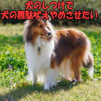 ���̂����Ō��̖��ʖi����߂������� 
